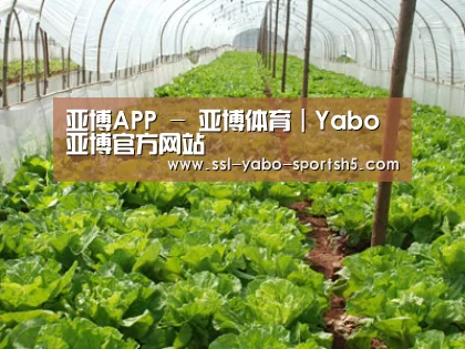 种植基地五