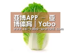 产品名称一