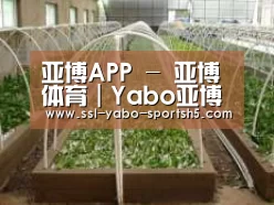 环境展示五