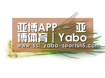 产品名称二