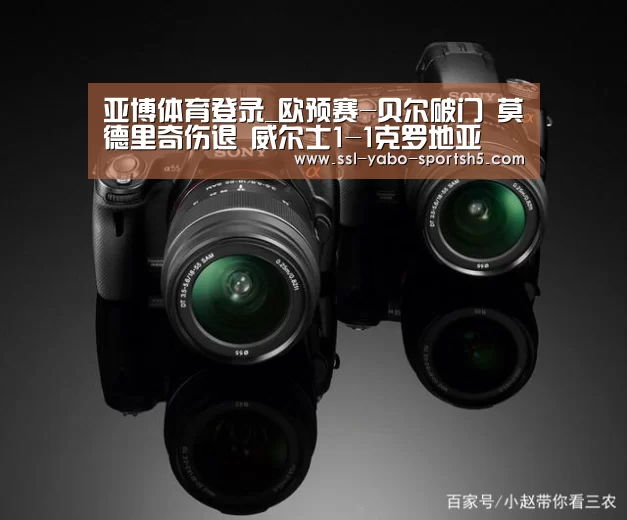 亚博体育登录_欧预赛-贝尔破门 莫德里奇伤退 威尔士1-1克罗地亚(图3) 亚博官方