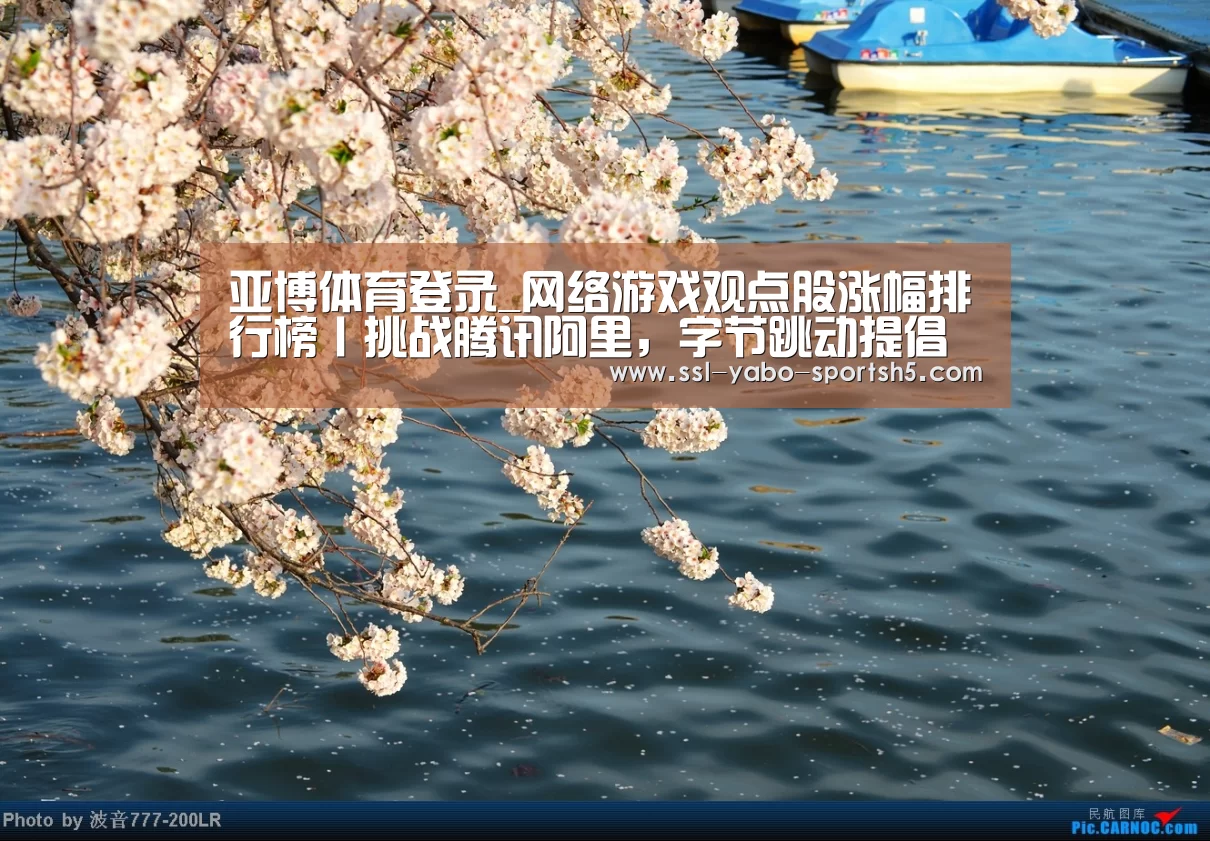 亚博体育APP下载